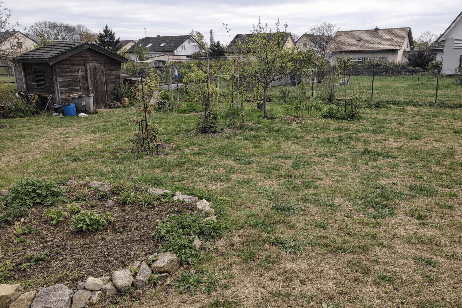 Vorher: Ausgangsfoto des Bepflanzung-Projekts