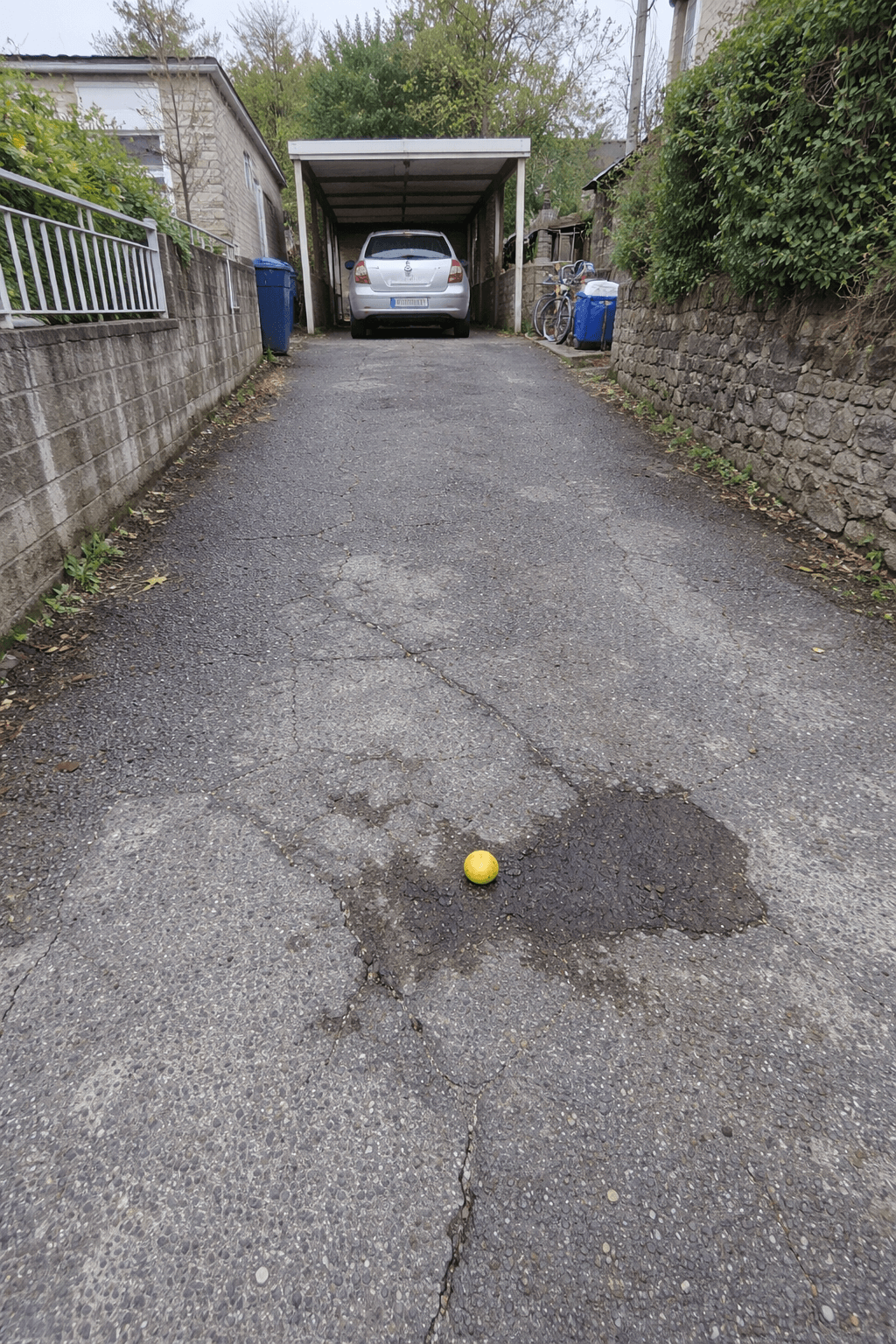 Vorher: Ausgangsfoto des Einfahrt-Projekts