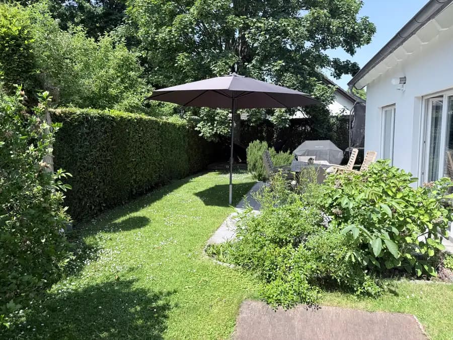 Real starting photo of a garden before the redesign